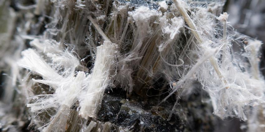 The image shows a close-up of asbestos fibres, highlighting the fibrous texture of the materialm